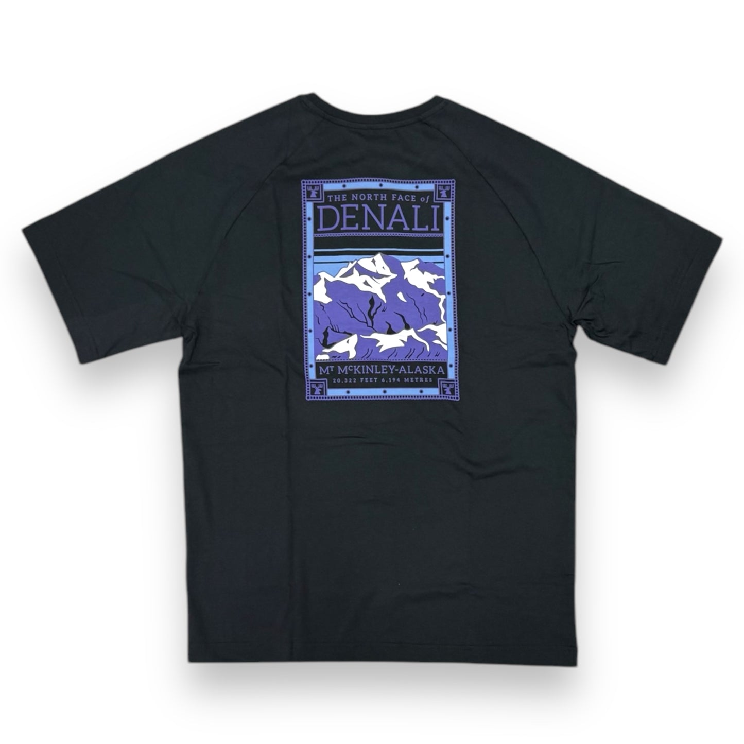 T-shirt THE NORTH FACE Uomo, North Faces Tee, Col.Nero