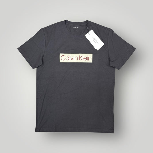 T-shirt CALVIN KLEIN, con stampa frontale, Col.Phantom